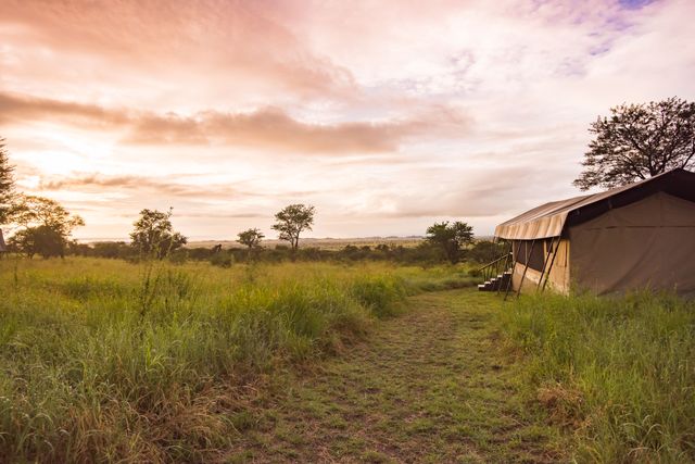 Dunia Camp